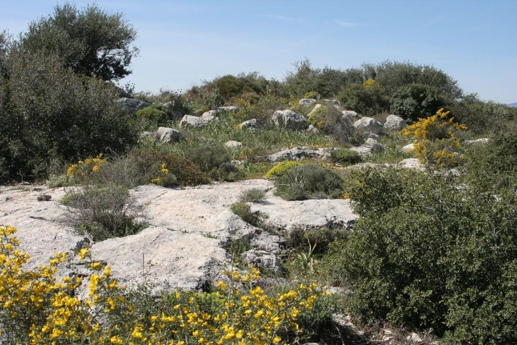 Ή διαπλάσεις