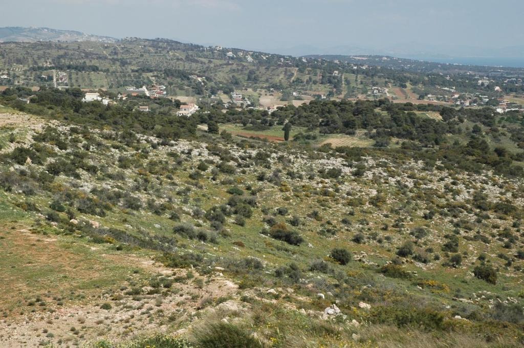 (ενδιάμεση