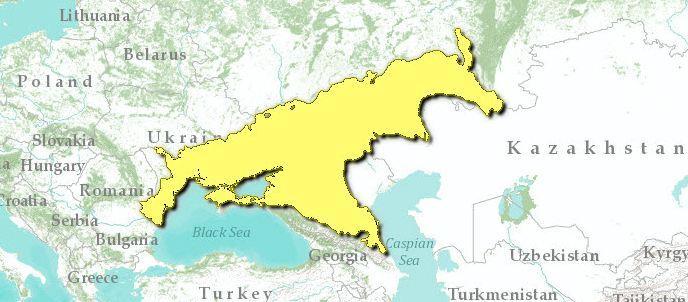 Βλάστηση στέπα = φυτοκοινωνίες κυρίως από ξηρόμορφα αγρωστώδη