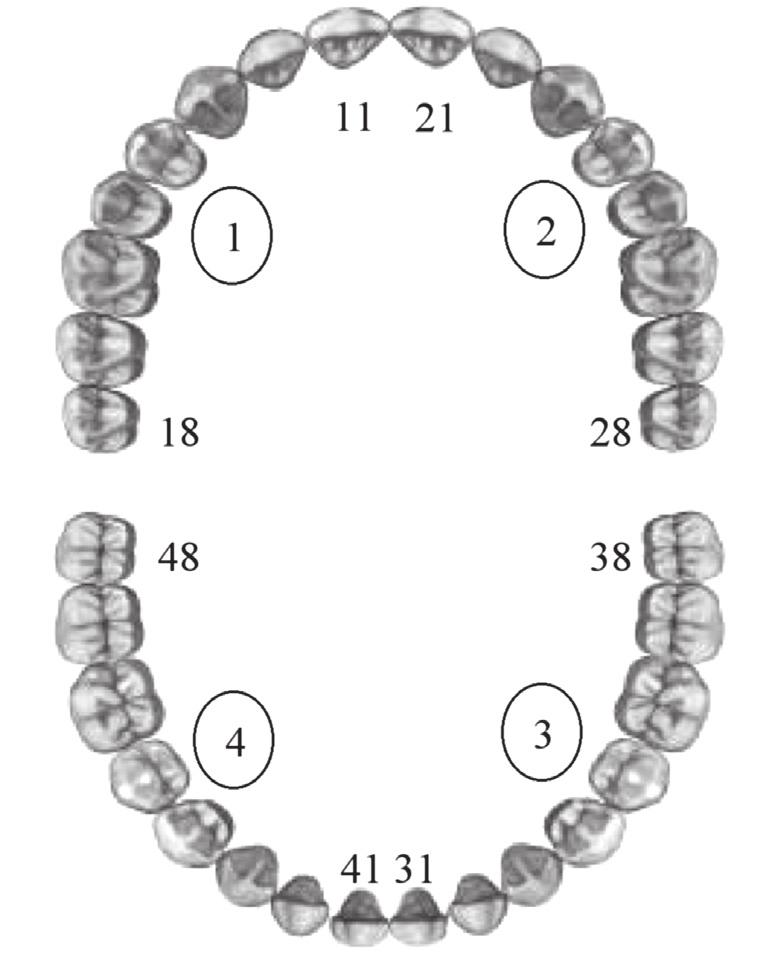 11 1 KΛΙΝΙΚΗ ΕΞΕΤΑΣΗ ΔΟΝΤΙΩΝ Η κλινική εξέταση των δοντιών είναι το σπουδαιότερο στάδιο της διαγνωστικής μεθοδολογίας που ακολουθείται στην Οδοντική Χειρουργική.