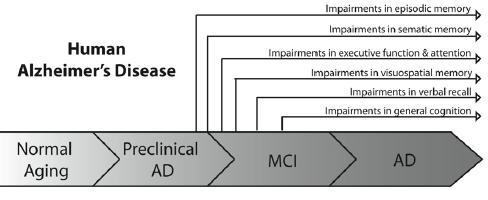 Σχήμα 3: Τα στάδια της νόσου Alzheimer. [15] 1.