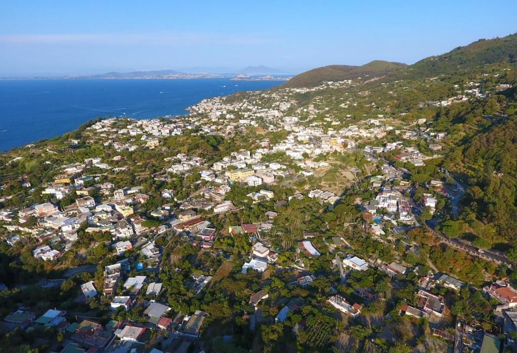 Air photo of the area affected by the 2017 Ischia earthquake From the observation and the analysis of the induced damage, it is concluded that the earthquake ground motion is characterized by the