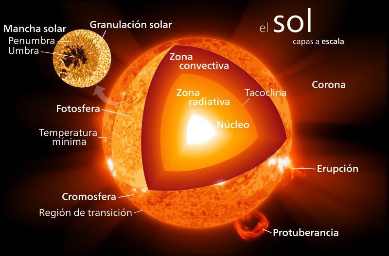 SOL ASTRONOMÍA A T no núcleo 14-15.000 º C; na superficie 7.000 º C. Presenta un ciclo de variacións nas manchas solares de 11 anos.