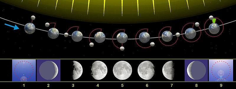 Lúa ASTRONOMÍA * Polo tamaño podería ser o sexto do Sistema Solar (1/3-1/4 da Terra). * Densidade media de 3,3 g/cm 3.