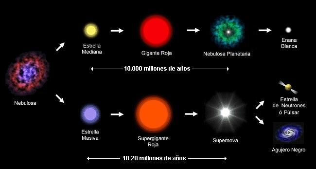 3.- Se a estrela supera as 30 M solares convertirase nun