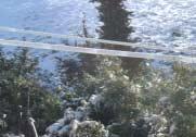 Φωτ. 2. Πολλαπλασιασµός της επιφάνειας προσβολής από τους ανέµους λόγω του πάγου και υπερβολική αύξηση του βάρους του. Φωτ. 3. Κατεστραµµένος πυλώνας. Φωτ. 4.