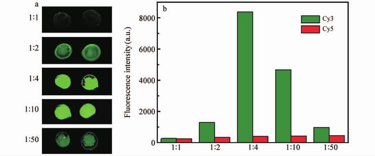Relative fluorescence intensities before and after washing. Cy3 8249. 23 Cy5 894. 36 9. 22 PCR 1 4 3 Fig.