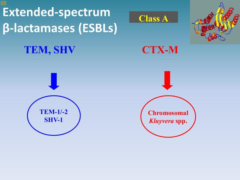 Extended-spectrum β-lactamases (ESBLs) κωδικοποιούνται από γονίδια που