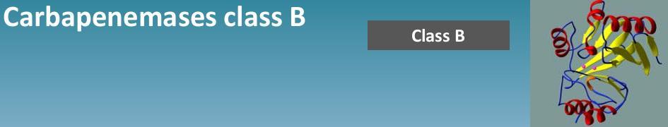 καρβαπενεμάσες τάξης B Penicillins Cephalosporines good activity