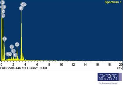 Fig. S2: EDS analysis of the