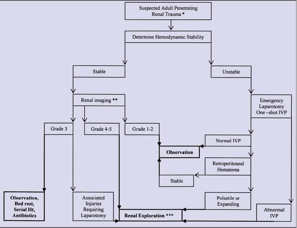 * Suspected renal trauma results from reported mechanism of injury and physical examination.