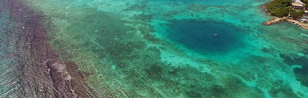 ελάχιστα γνωστή Γεωλογικά χαρακτηριστικά των ωκεανών Image credit: Byrd Polar Research Center, Ohio