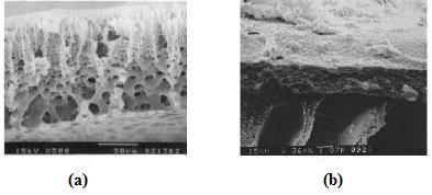 εγχαραγμένων διαύλων (track etched membrane) και (c) μεμβράνης διογκωμένου υμενίου (expanded film membrane) [52]