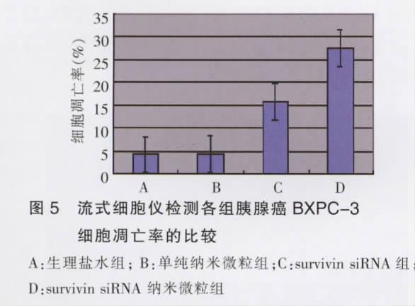 05) 35 5 (%) 30 25 20 15 10 5 0 A B C D BXPC-3 A: ; B: ;C:survivin sirna ; D:survivin sirna 3 survivin survivin sirna BXPC-3 survivin caspase caspase-3caspase-7 [11-12] MTT survivin (P<0.