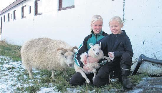 Þeir voru á námskeiði í trjáfellingum og grisjun með keðjusög sem Landbúnaðarháskóli Íslands hélt á dögunum á Hallormsstað og á Buðlungavöllum undir leiðsögn Björgvins Eggertssonar skógfræðings hjá