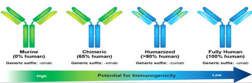 INFLIXI MAB 12.5-43% IFX+IM M 0.9-14% ADALI 2.8-9.2% MUMAB GOLIM UMAB 0.4-2.