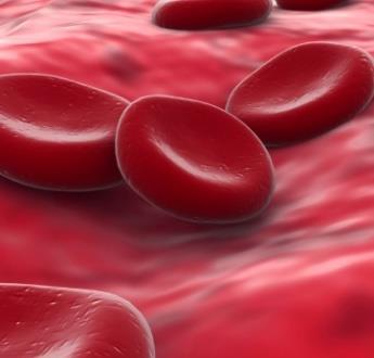 Anaemia is a state in which the quality and/or quantity of circulating red blood cells are