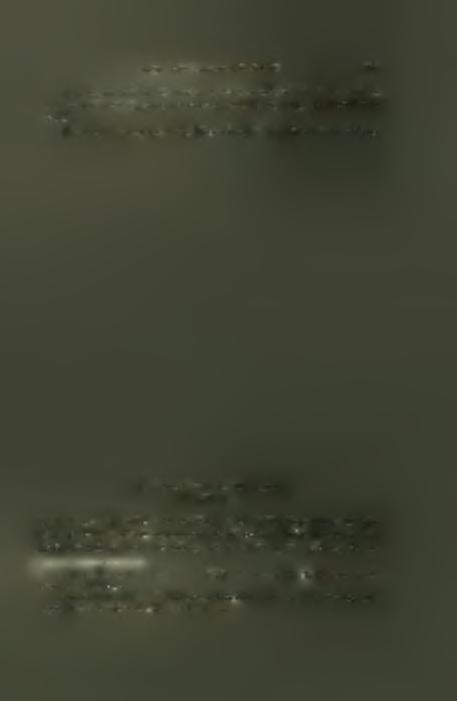 άλλα πάντως δχι πολύ παλαιάν, ώς δεικνύει ή όμοιότης αυτής μέ τήν από τοΰ L400 περίπου παράστασιν αυτοϋ είς τήν Νόβα Παΰλιτσα τής Σερβίας1 3 2 καί τήν από τοΰ τέλους τοΰ