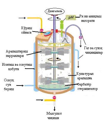 3-rasm. Mexanik aralashtirgichli fermenter. 2. Kombinirlangan ya ni, bir necha jarayonlar uchun mo ljallangan fermentyorlar. 3. Tor doirali - ya ni, aynan bir jarayon uchun muljallangan fermentyorlar.