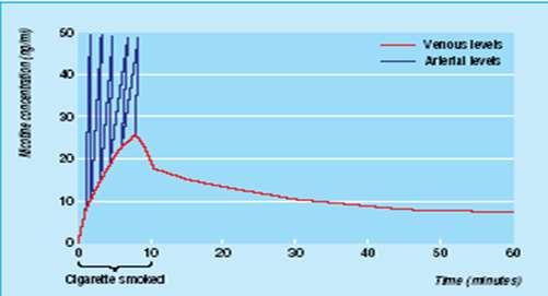 arterial blood after taking