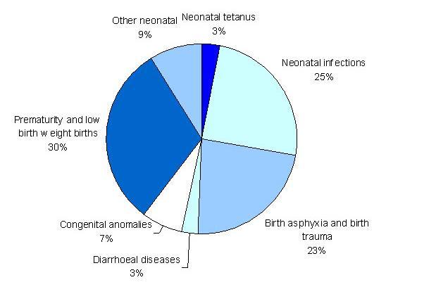 Εικόνα 3. Αίτια περιγενητικής θνησιμότητας σύμφωνα με τον Π.Ο.Υ. 2008 H συσχέτιση μεταξύ προωρότητας και μακροπρόθεσμης νεογνικής νοσηρότητας είναι όπως φαίνεται μια κατάσταση αρκετή πολύπλοκη.