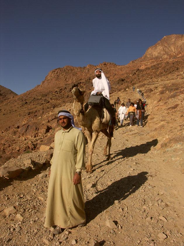 Οι καμήλες, παραδοσιακό μεταφορικό μέσο του Σινά... Πριν 3 χρόνια στις 7 Μαΐου από τα άγρια χαράματα, ξεκίνησα προς την κορυφή. Ήθελα να προλάβω την ανατολή του ηλίου στην αγία κορυφή.