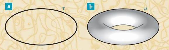 سایت علمی بیگ بنگ تصویر 5. ثابت کیهانشناسی یک حلقه ای. الف( در تئوری میدان کوانتومی این دیاگرام فاینمن با یک تک پارامتر زمان ویژه τ در زمره ی ثابت کیهانشناسی یک حلقه ای قرار می گیرد.
