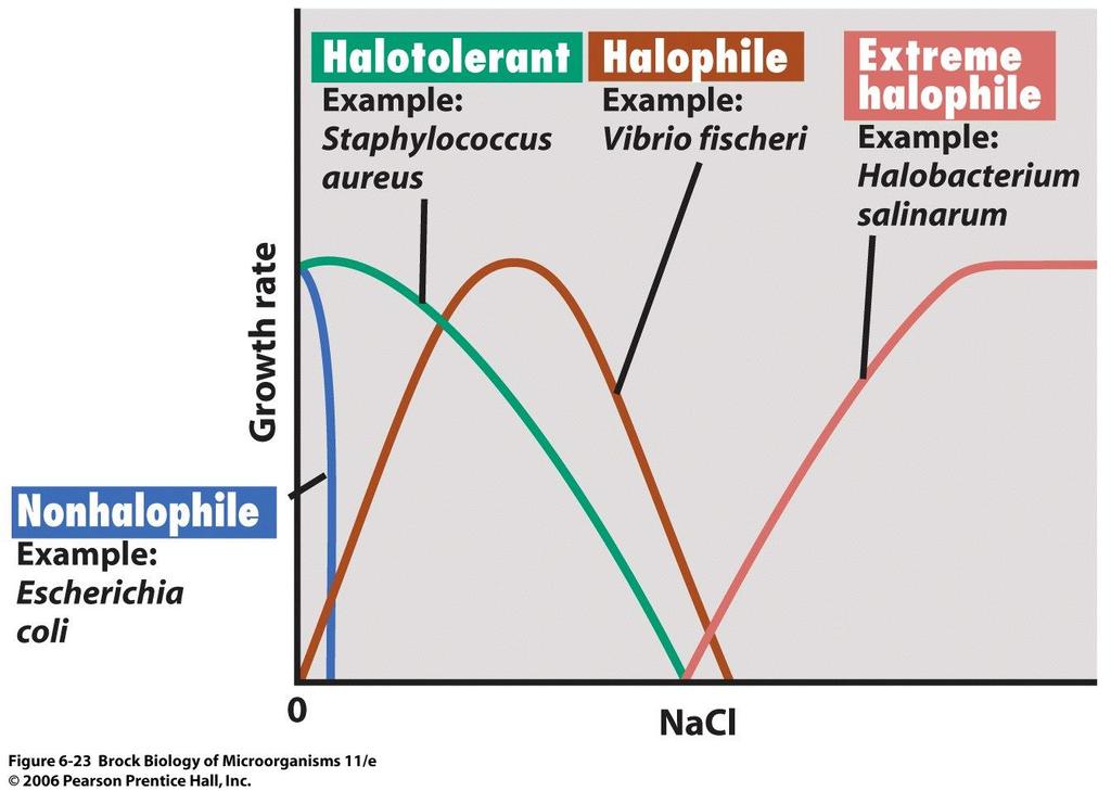 Ταξινόμηση μικροοργανισμών με βάση την τιμή του a w Αλοανθεκτικοί (Halotolerant or haloduric): Στην κατηγορία αυτή περιλαμβάνονται μικροοργανισμοί που αναπτύσσονται σε μεγάλες συγκεντρώσεις άλατος
