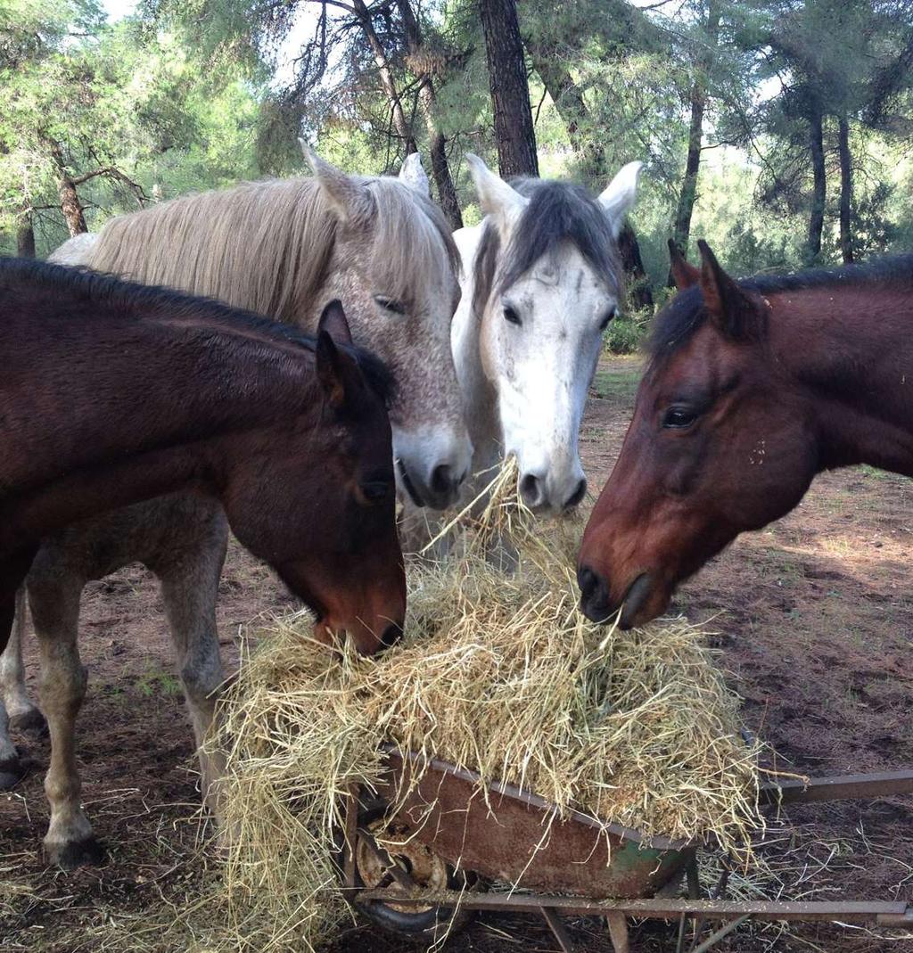 Η Νάνσυ Κουρέλλου δεν χρειάστηκε περισσότερο χρόνο από μια ανάσα