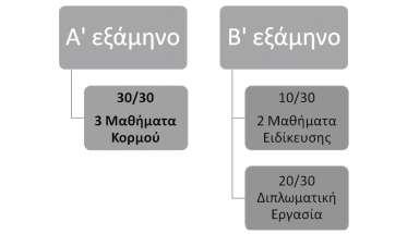 υλικών και των εφαρμογών τους, η μελέτη του τρόπου σύνθεσης, χαρακτηρισμού και ιδιοτήτων των μοντέρνων υλικών, η προ-ετοιμασία για σπουδές διδακτορικού επιπέδου μετά την απόκτηση του Διπλώματος