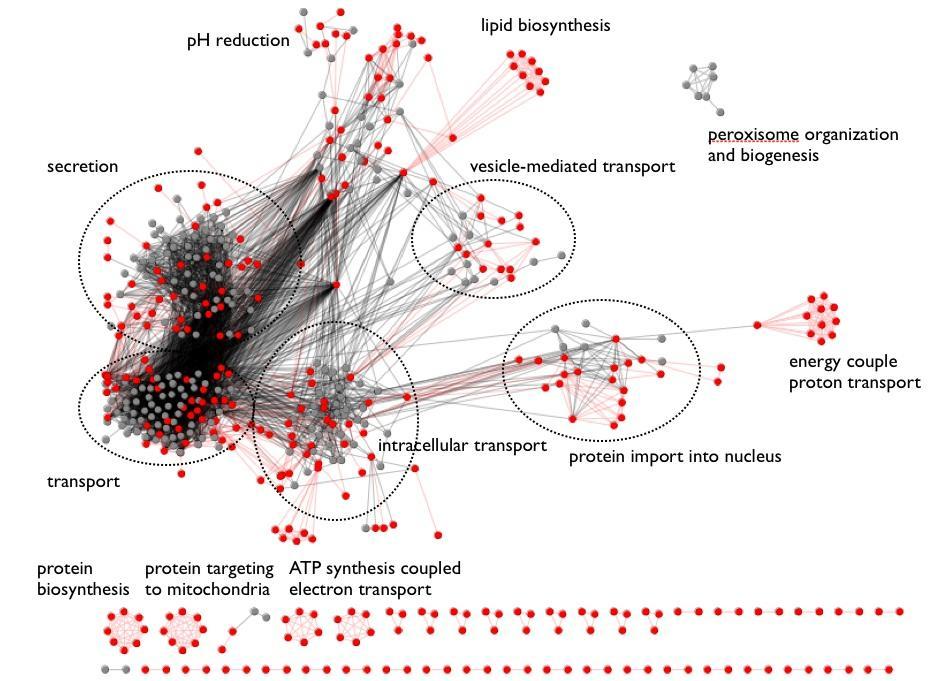 Σε επίπεδο κυττάρων Zhang, K. & Ouellette B.F. New Perspectives in Predicting Membrane Protein-protein Interactions.