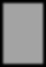 1: The Hilbert space of the system: an effective superbecomes diagonal with respect to H meas, [U(t), H meas ] = 0, an effective superselection rule arises and the total Hilbert