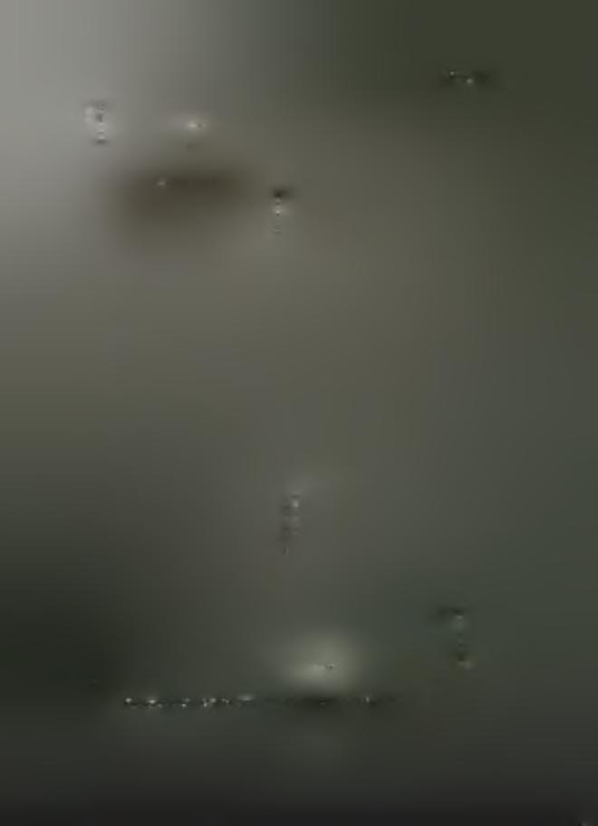 Πιν. III.