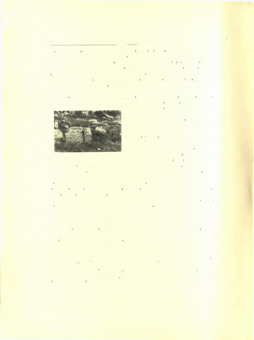 342 Ειρήνης Βαρούχα- Χριατοδουλοπούλου Είκ. 17. Μικρό Καβούρι. Γωνία τοϋ τείχους.