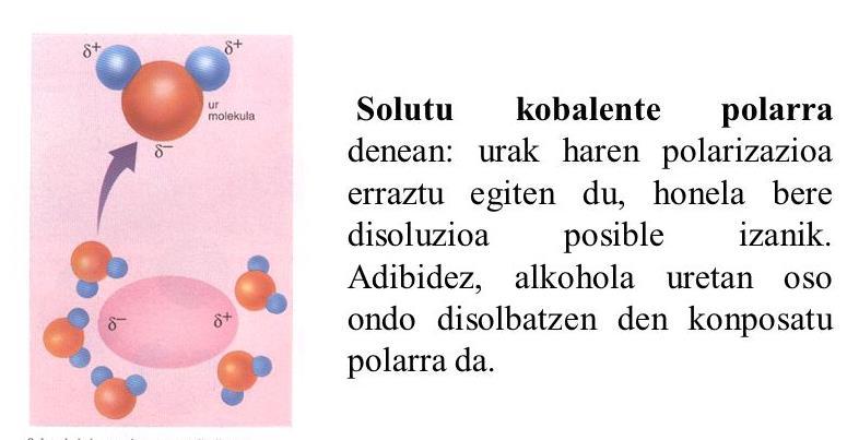 Momentu bipolarrak loturetan sortzen dira µ.