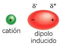 da. Ur molekula bakoitzaren polaritatea handia da, eta hidrogeno atomoa txikia izatean aukera du beste molekula bateko