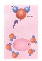 Substantzia kobalente solidoak: Atomoak edo molekulak handiak eta astunak dira eta mugitzeko zailtasunak dituztenez egitura kristalinoak osatzen dituzte: (C diamantea eta grafitoa; Si0 2 ; I 2 ; C 12