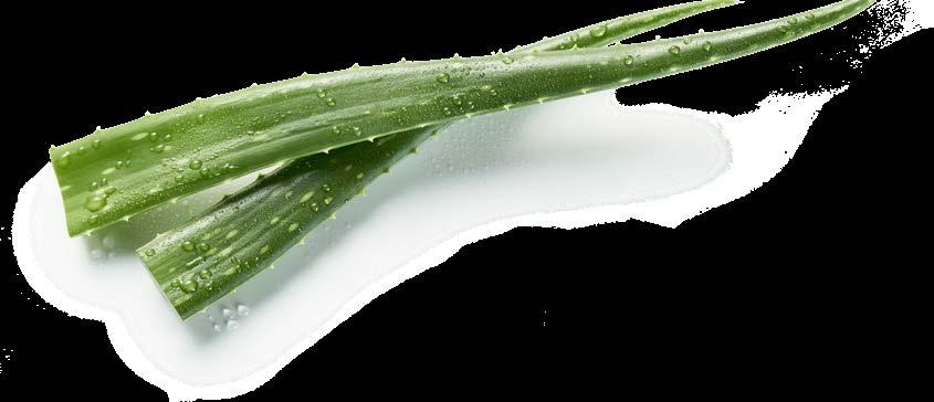 Απαλός καθαρισμός για όλο το σώμα Το Aloe Vera Baby Sensitive Αφρόλουτρο &