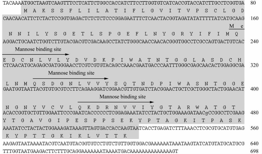 NTA 219 Cloning and Sequence Analysis of the Lectin Ortholog NTA from Chinensis Narcissus 2 NTA Figure 2 The cdna sequence and its coding amino acids sequence of the NTA of Chinese Narcissus 18