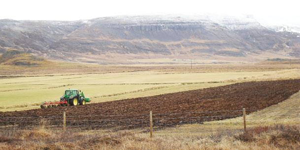 Opið hús í Garðyrkjuskólanum Að venju verður opið hús í Garðyrkjuskólanum Starfsstöð Landbúnaðarháskóla Íslands á sumardaginn fyrsta, 25. apríl. Opna húsið hefst kl. 10 og lýkur kl. 18.