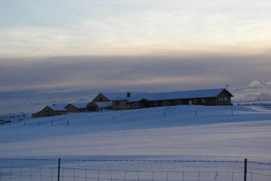 Auk þess eru tveir kettir, Gamla kisa, 14 ára og Brandur, 12 ára.