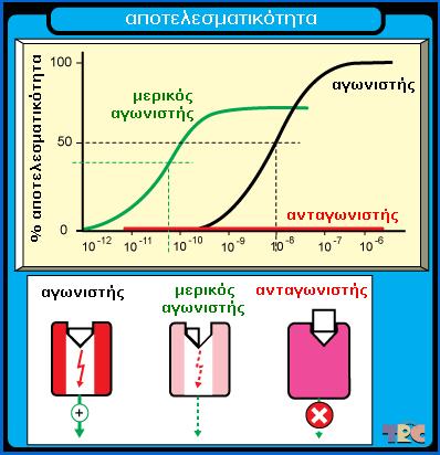 Από τη σύνδεση στο αποτέλεσµα η έννοια της