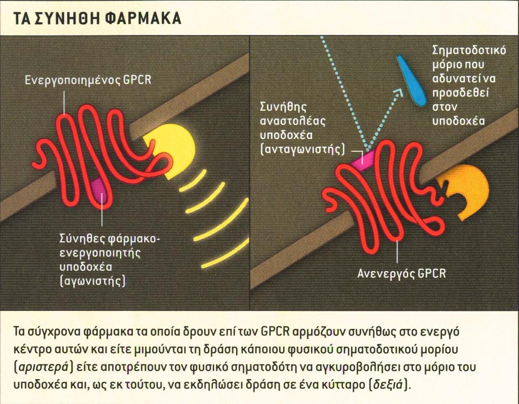 ΡΑΣΗ ΑΓΩΝΙΣΤΗ ΚΑΙ