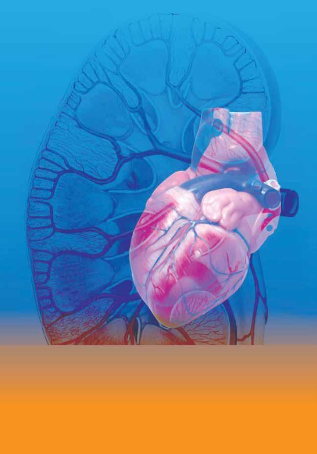 Cardiovascular Disease and Renal