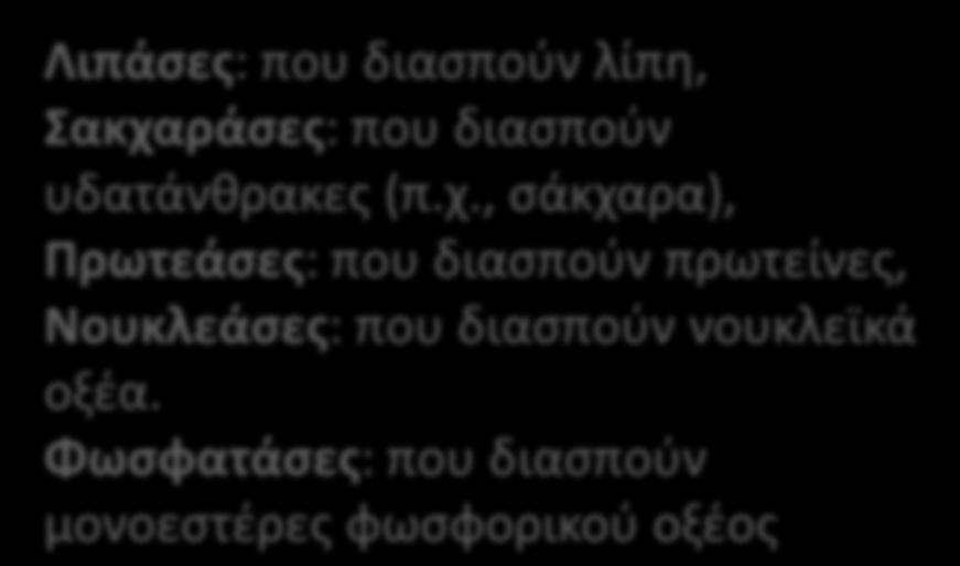 ράςεσ: που διαςποφν υδατάνκρακεσ (π.χ.