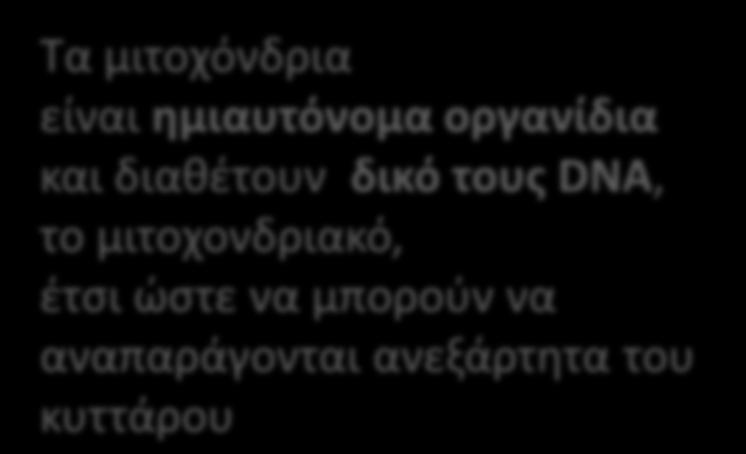 DNA, ριβοςϊματα και πολυάρικμα ζνηυμα που καταλφουν τισ μεταβολικζσ αντιδράςεισ που λαμβάνουν