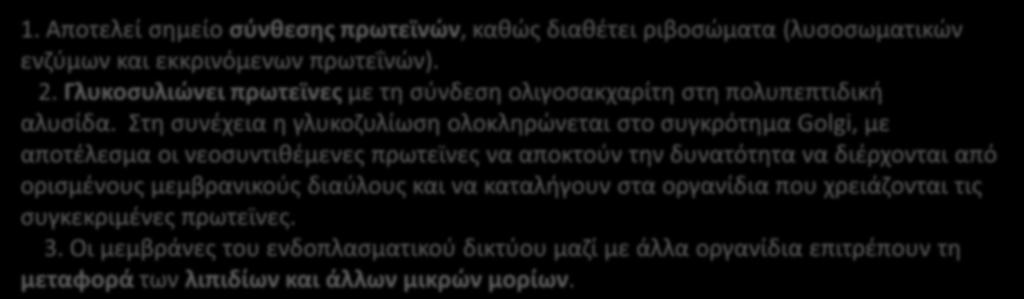 Γλυκοςυλιϊνει πρωτεϊνεσ με τθ ςφνδεςθ ολιγοςακχαρίτθ ςτθ πολυπεπτιδικι αλυςίδα.