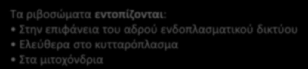 Ο ρόλοσ των ριβοςωμάτων είναι θ ςφνκεςθ πρωτεϊνϊν.