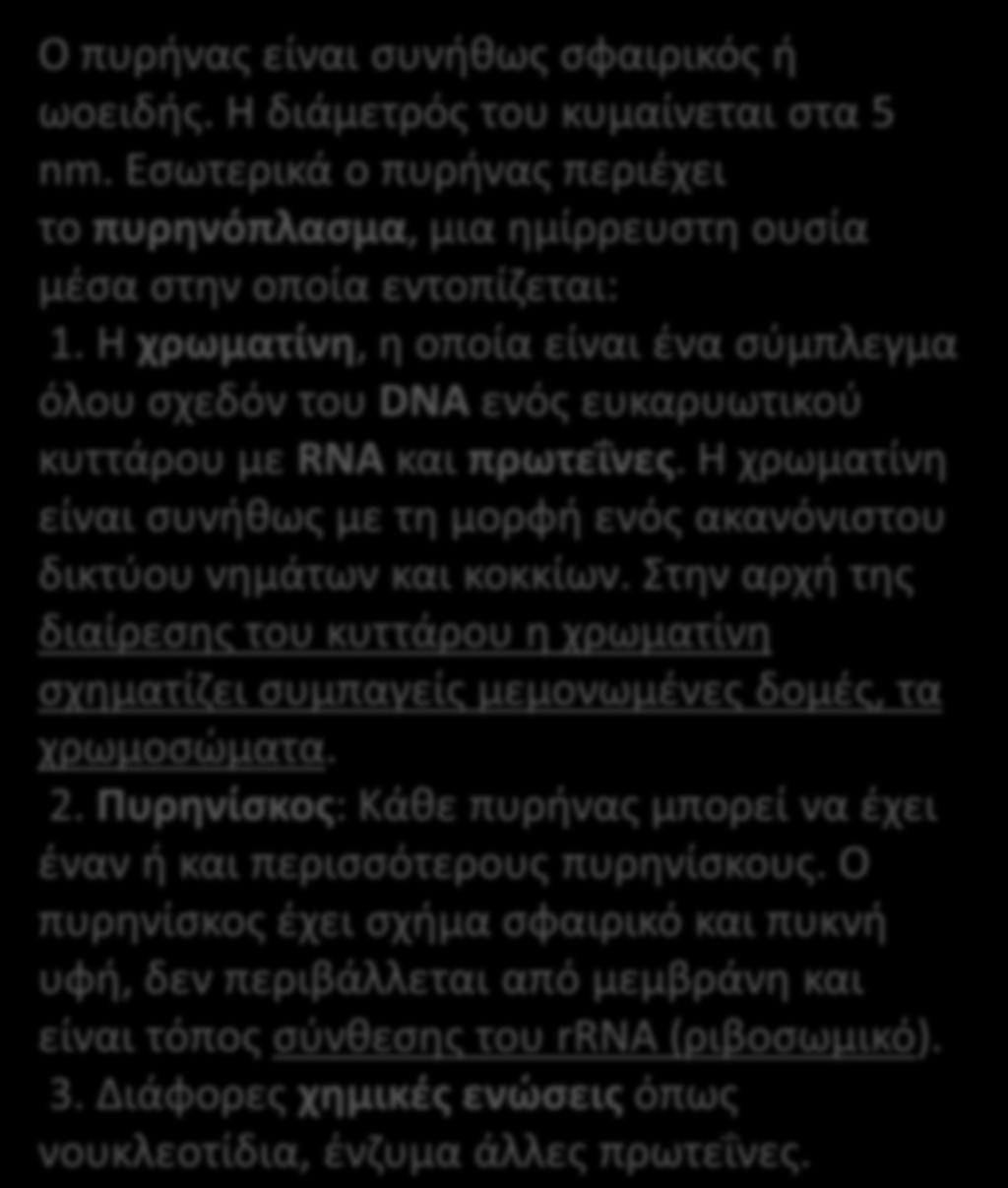 Θ χρωματίνθ είναι ςυνικωσ με τθ μορφι ενόσ ακανόνιςτου δικτφου νθμάτων και κοκκίων. Στθν αρχι τθσ διαίρεςθσ του κυττάρου θ χρωματίνθ ςχθματίηει ςυμπαγείσ μεμονωμζνεσ δομζσ, τα χρωμοςϊματα. 2.