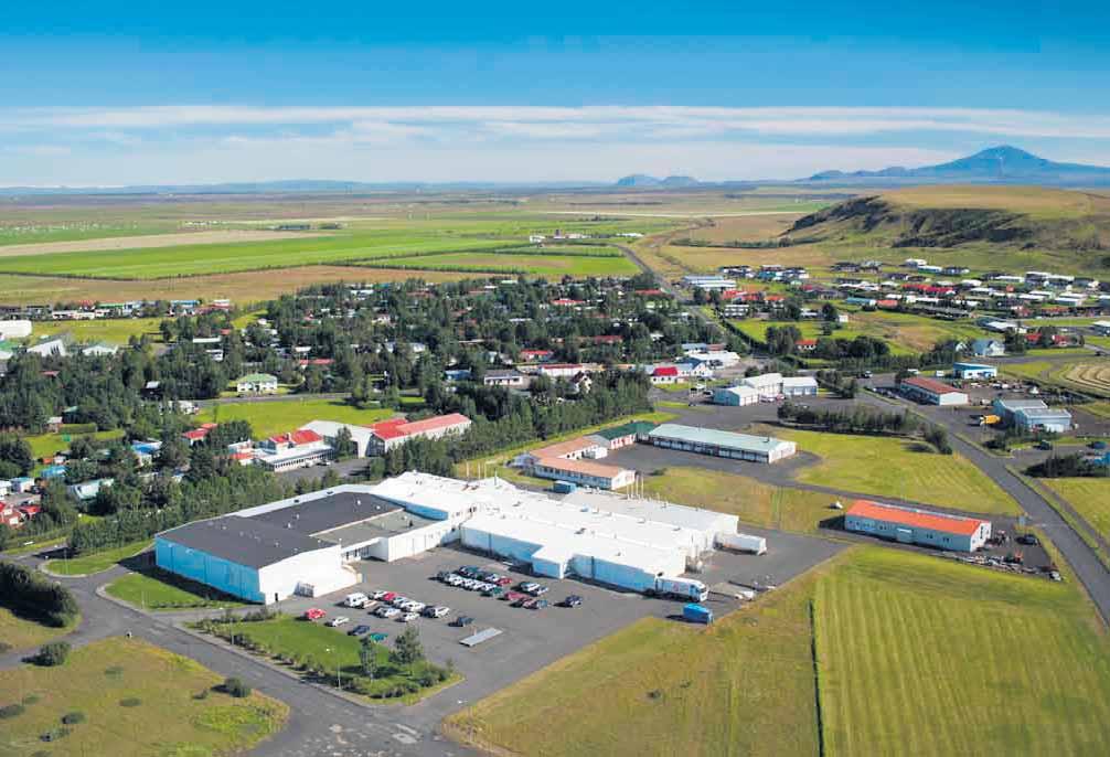 Þorrakálfur Sláturfélags Suðurlands 19 SS á Hvolsvelli er stærsti vinnustaðurinn í héraðinu Framleiðsla súrmatar krefst ítrustu alúðar og natni Á Hvolsvelli rekur SS langstærstu og öflugustu